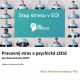 Titulná strana výskumnej správy Pracovný stres a psychická záťaž ako determinanty BOZP (M. Kordošová, 2024)